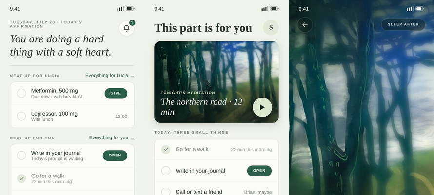 Three Passage screens: the caregiving dashboard, the self-care screen, and daily self-care shortcuts.